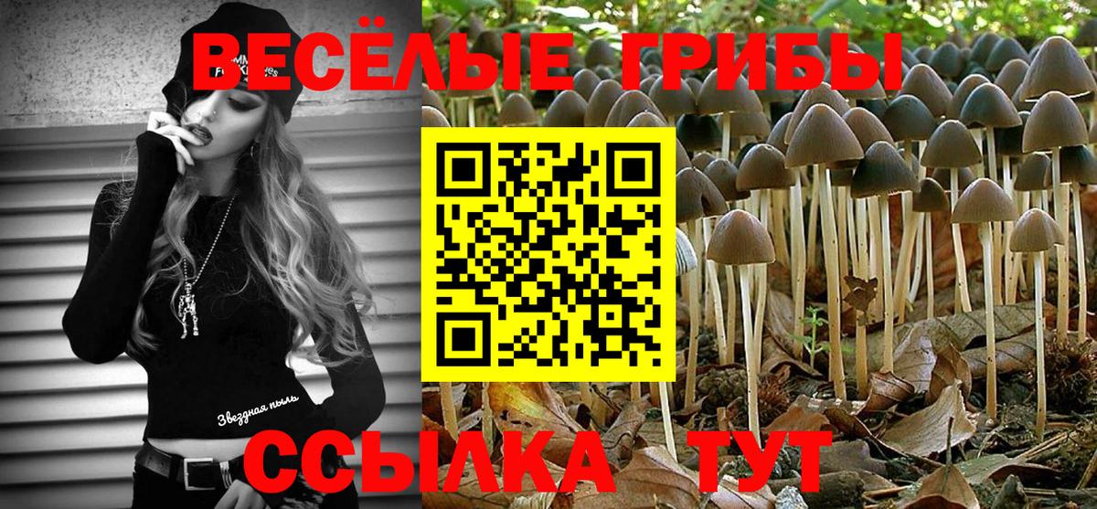Псилоцибиновые грибы Cubensis  Вход с VPN  Галлюциногенные грибы прущие грибы  Соль-Илецк 